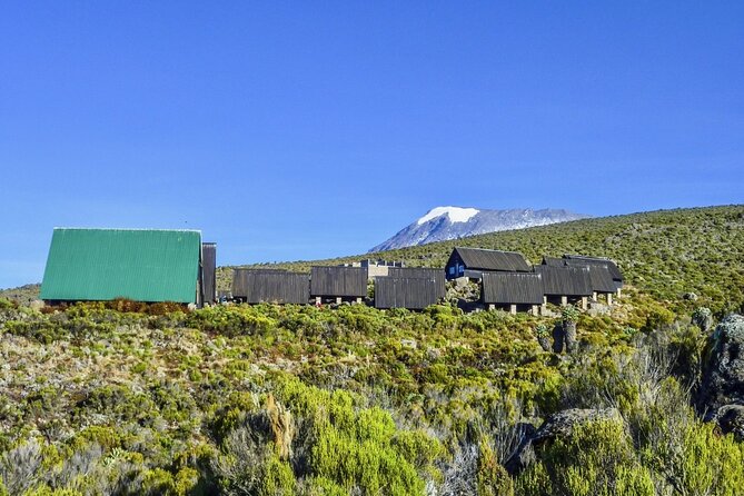 Mount Kilimanjaro Day Hike Through Marangu Route to Mandara Hut - The 6:00 a.m. pickup from Arusha