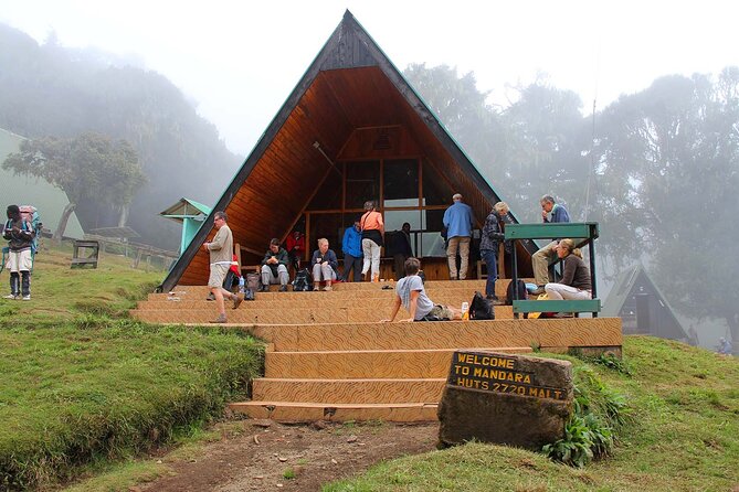 Mount Kilimanjaro Day Hike Through Marangu Route to Mandara Hut - Rain, altitude, and the real level of effort