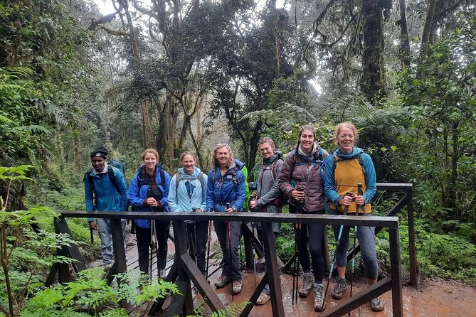 Mount Kilimanjaro Day Hike Through Marangu Route to Mandara Hut - Marangu Gate: permits, registration, and the first step