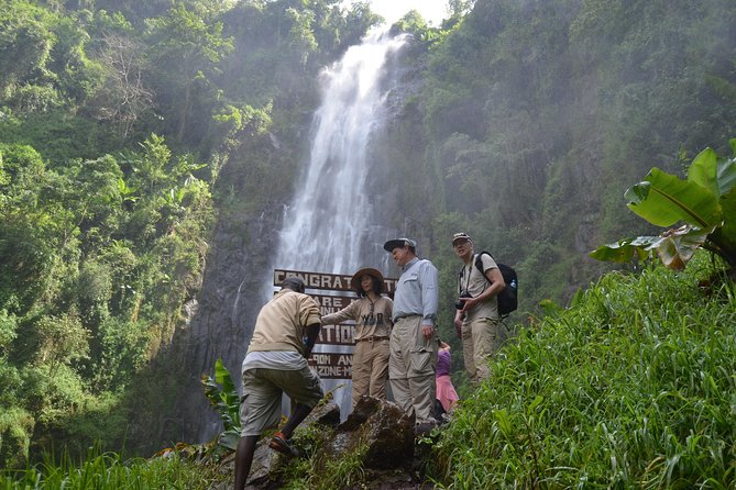 Mount Kilimanjaro day trip trekking - What This Kilimanjaro Day Trip Really Is