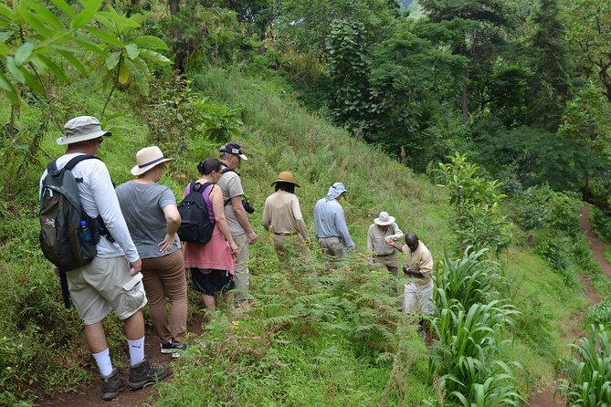 Mount Kilimanjaro day trip trekking - Who Will Like This Experience Most?