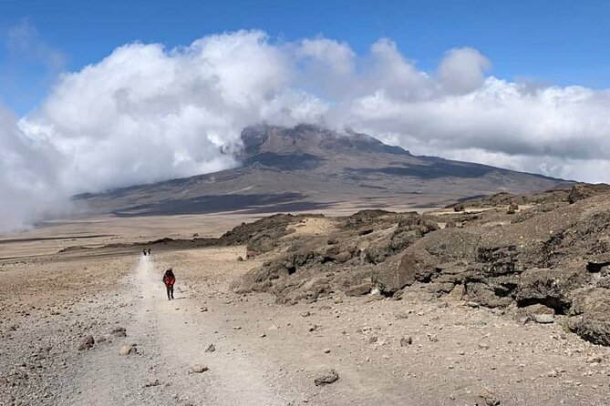 Mount Kilimanjaro - Lemosho Route - Day 4: Climbing Barranco Wall to Karanga