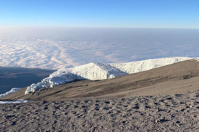 Mount Kilimanjaro - Machame route - Day 2: The rainforest gives way to Shira
