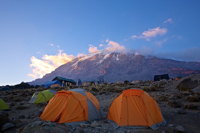 Mount Kilimanjaro - Machame route - Day 6: Uhuru Peak and the long return to Mweka Hut