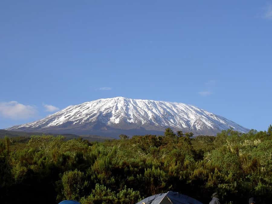 Mount Kilimanjaro National Park Day Trip - Why this Kilimanjaro day hike works