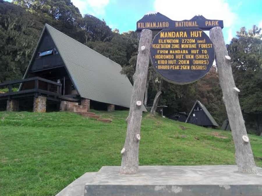 Mount Kilimanjaro National Park Day Trip - What the $405 price really covers