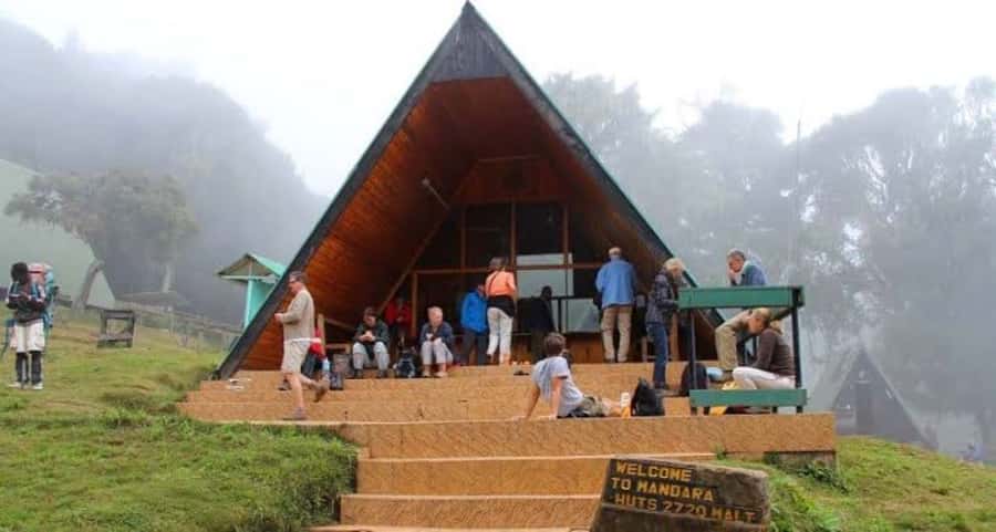 Mount Kilimanjaro National Park Day Trip - From Arusha or Moshi to Marangu Gate