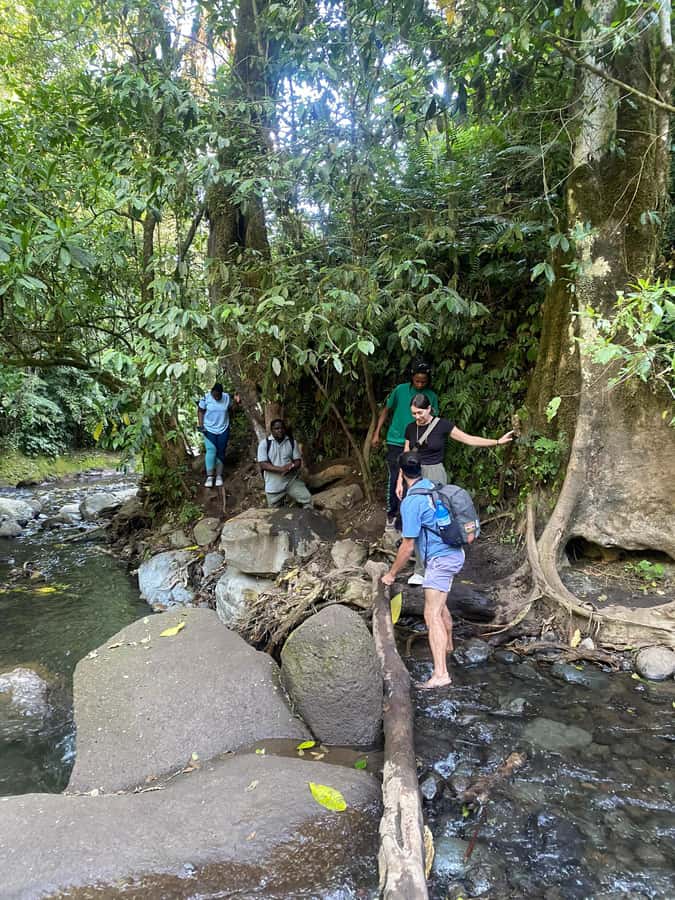 Mount Meru Arusha: Napuru Waterfall Hike by Kingstone Asilia - Who will enjoy this hike most?