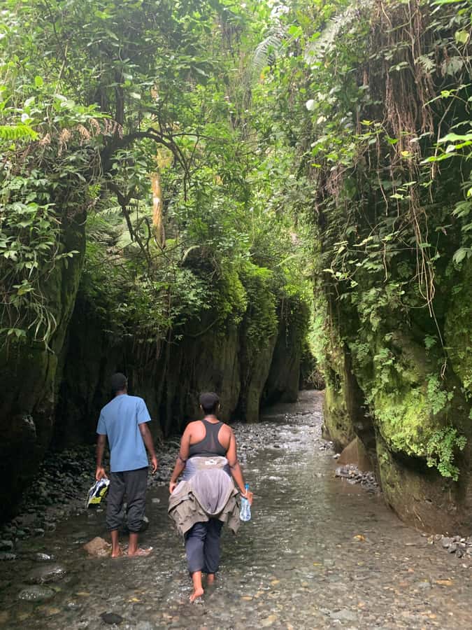Mount Meru Arusha: Napuru Waterfall Hike by Kingstone Asilia - Why Napuru Waterfall makes a good Arusha day trip