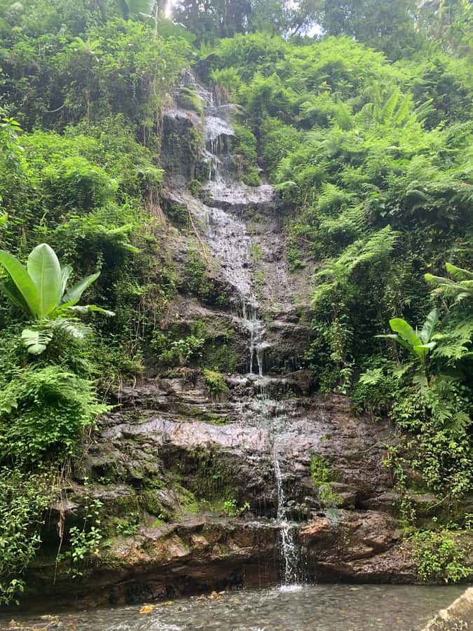Mount Meru Arusha: Napuru Waterfall Hike by Kingstone Asilia - Napuru Waterfall and its natural swimming pool