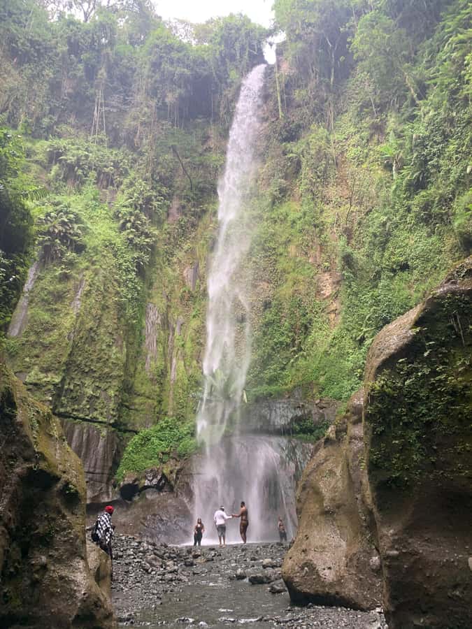 Mount Meru Arusha: Napuru Waterfall Hike by Kingstone Asilia - Coffee from the Kingstone Asilia family farm