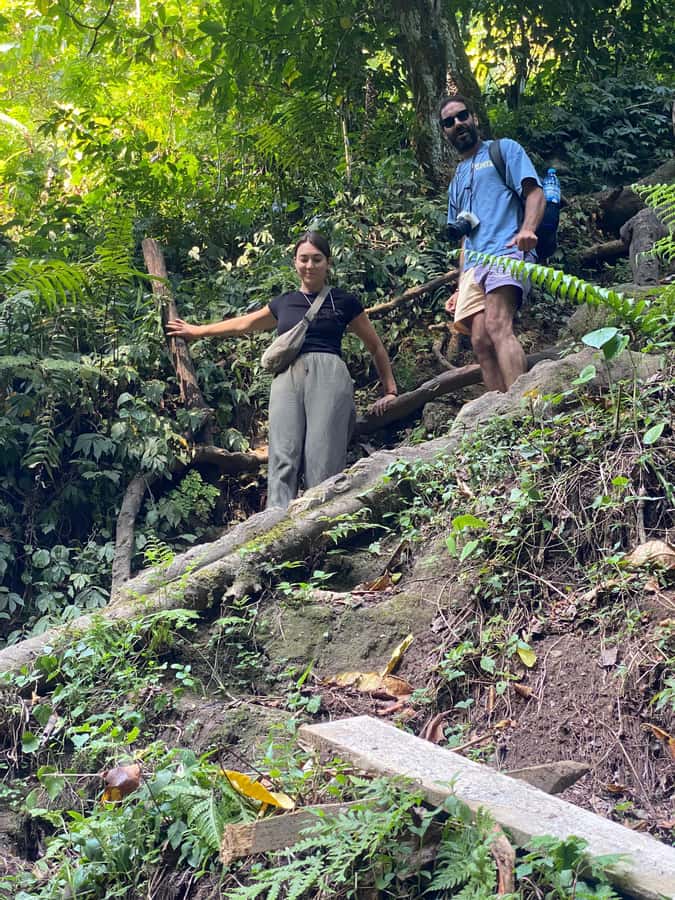 Mount Meru Arusha: Napuru Waterfall Hike by Kingstone Asilia - The return walk and optional lunch