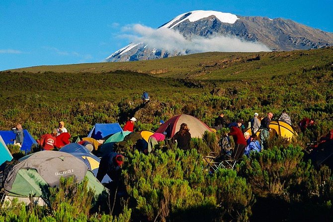 Mountain Kilimanjaro Climbing 7 Days Machame Route - Key Points Before You Book