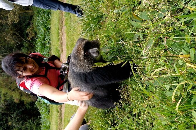 Mountain Kilimanjaro Day Hike - Walking the Marangu rainforest