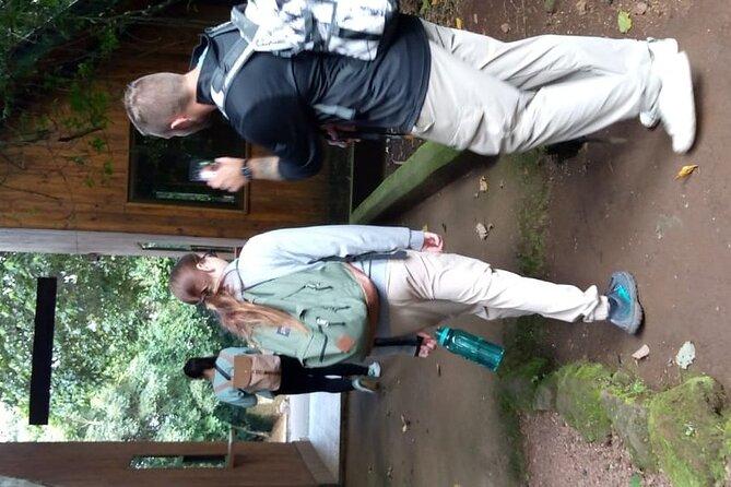 Mountain Kilimanjaro Day Hike - The descent and the long ride home