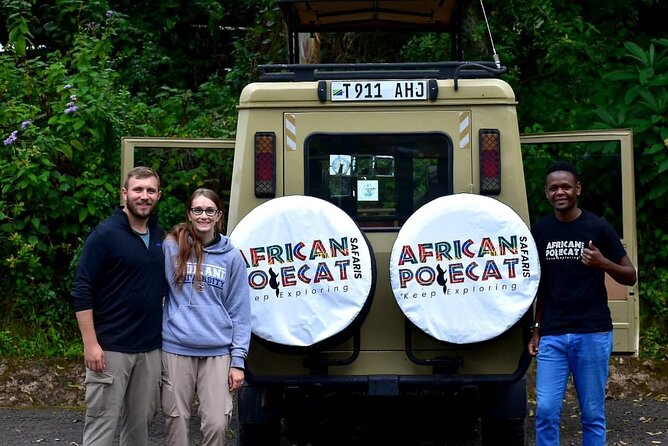 Mountain Kilimanjaro Day Hike - Who should book this Kilimanjaro hike?