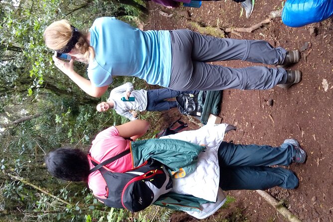 Mountain Kilimanjaro Day Hike - Starting at Marangu Gate