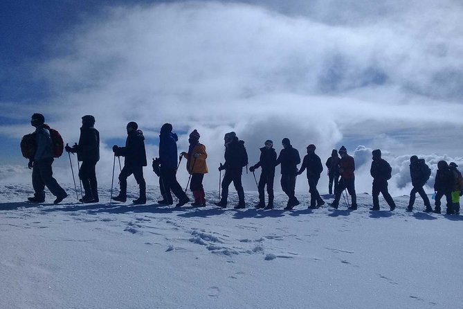 Mt Kilimanjaro 360° Trek with Once-in-a-Lifetime Crater Camping - Day 5: Moir Valley, Little Lent Hill, and Buffalo Camp
