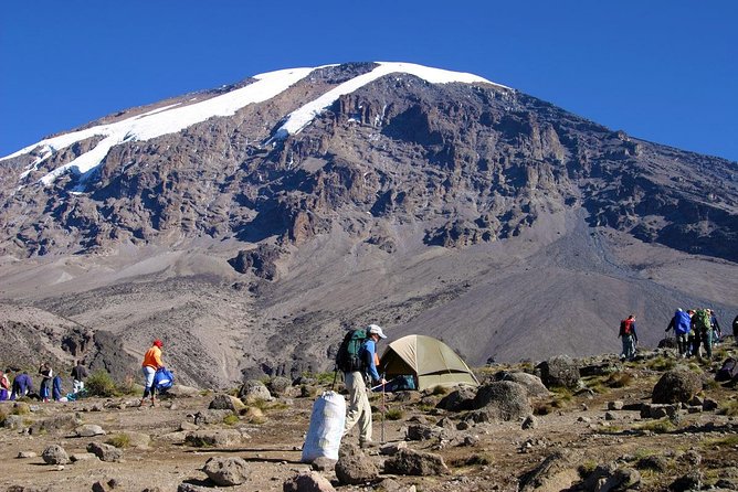 Mt Kilimanjaro 360° Trek with Once-in-a-Lifetime Crater Camping - Day 7: The Saddle and preparation at School Hut