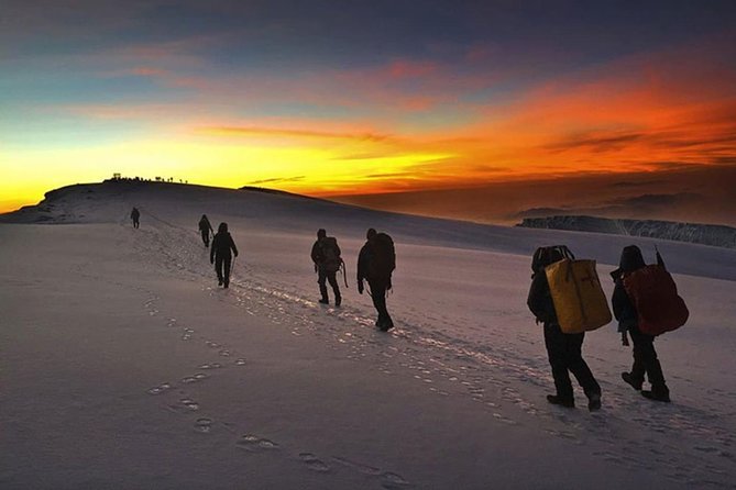 Mt Kilimanjaro 360° Trek with Once-in-a-Lifetime Crater Camping - Days 2 and 3: Shira Plateau and colder nights
