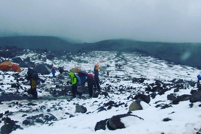 Mt Kilimanjaro 6 days Marangu route hike - Day 3: A rest day with an optional Mawenzi hike