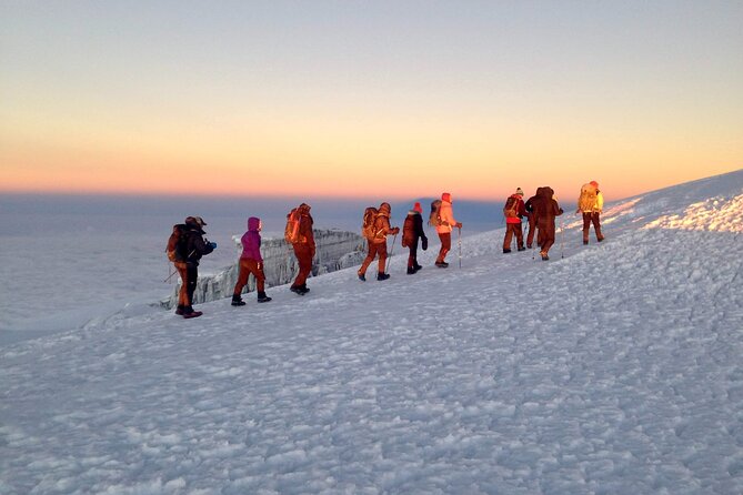 Mt. Kilimanjaro Climb - 8 Day Lemosho Route - Why Lemosho is a smart eight-day choice