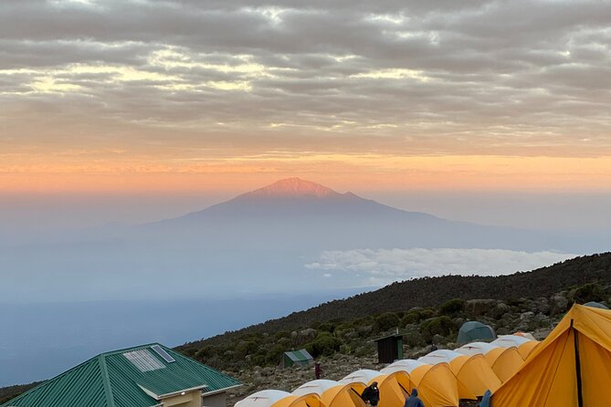 Mt. Kilimanjaro Climb - 8 Day Lemosho Route - Day three: The Shira Plateau acclimatization day
