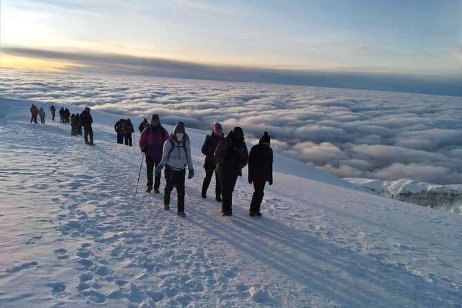 Mt Kilimanjaro Climb - 8 days Lemosho - Day 4: Shira Camp 2 to Barranco Camp