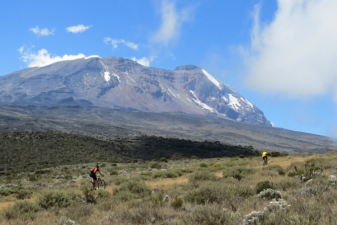 Mt Kilimanjaro Climb - 8 days Lemosho - Day 7: Uhuru Peak and the long descent