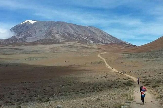 Mt Kilimanjaro Climb - 8 days Lemosho - Day 1: Lemosho Gate to Big Tree Camp