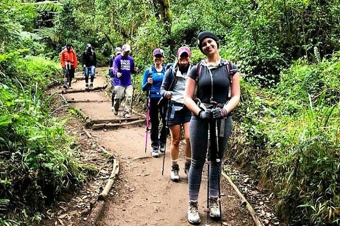 Mt Kilimanjaro Day Hike - Key points before you book