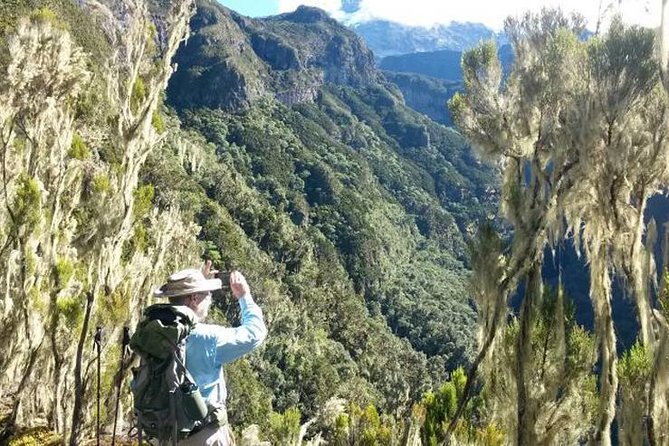 Mt Kilimanjaro Day Hike - From Moshi to Marangu Gate at 1,800 meters