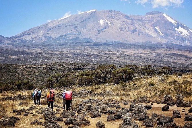 Mt.kilimanjaro Lemosho Route - Day 3: Lava Tower at 4,630 meters, then Barranco Camp