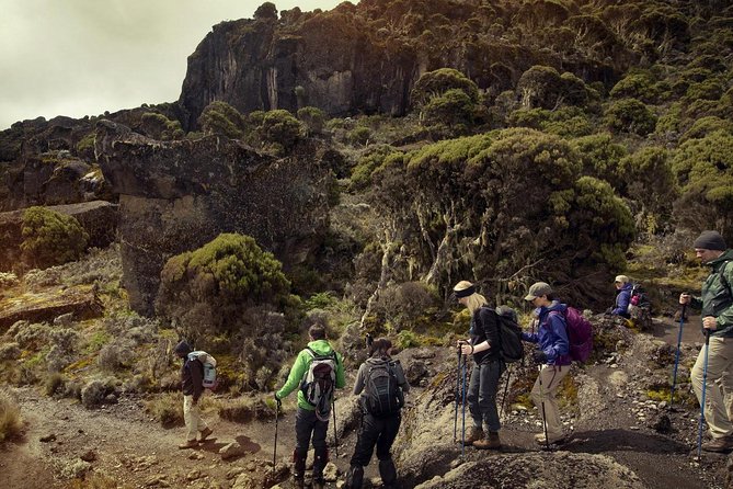 Mt.kilimanjaro-machame Route - Day 1: Machame Gate to Machame Camp