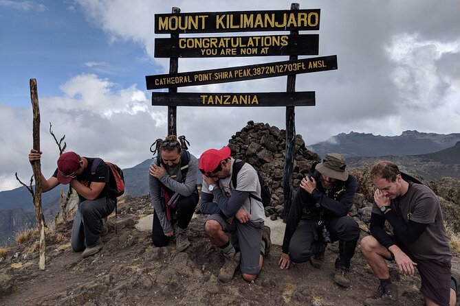 Mt. Kilimanjaro: Shira plateau to Cathedral point 3872m Day hike - Forest wildlife along the western route