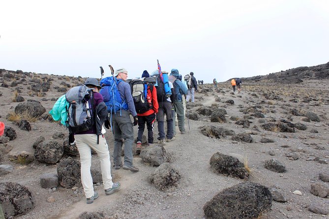 Mt Kilimanjaro Trek, 6 Days - Umbwe Route - Day five: Uhuru Peak and the hardest 14 hours