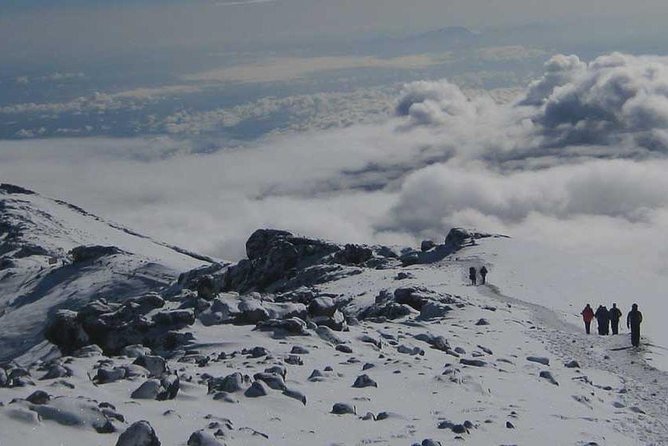 Mt Kilimanjaro Trek, 6 Days - Umbwe Route - Day two: Moorland and the approach to Barranco