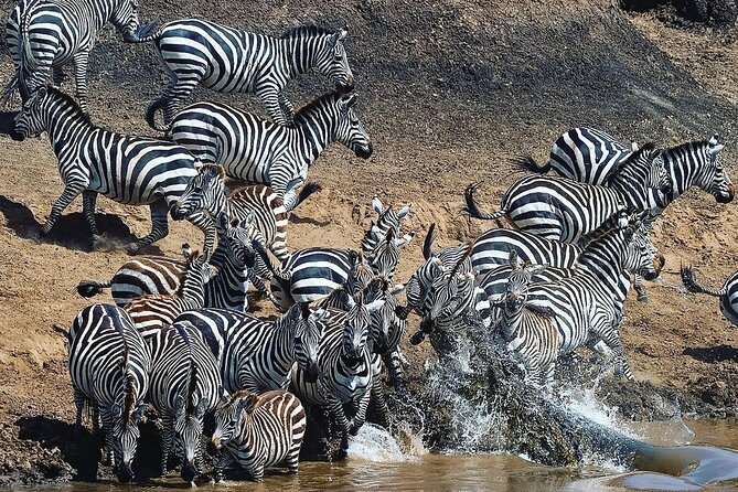 Multi-Day Camping Safari Experience in Arusha - Day 4: Sunrise in the Serengeti, then toward Ngorongoro