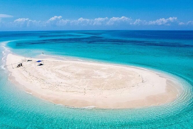 Nakupenda SandBank & Prison Island (Changuu Island) - Should you book Nakupenda and Prison Island?