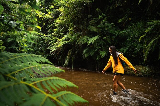 Napuru Waterfalls - The morning departure from Arusha