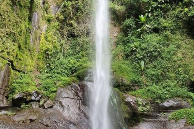 Napuru Waterfalls - Following the trail to the falls