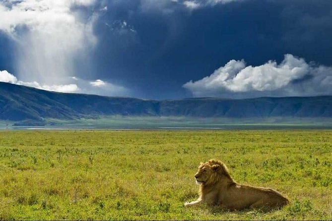 Ngorongoro Crater Day Trip - Why Ngorongoro Crater is worth the long road from Arusha