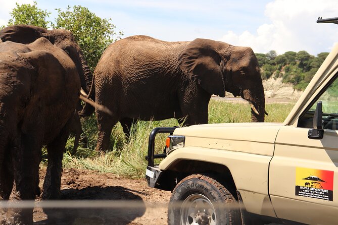 Ngorongoro Crater Day Trip - Is $325 a fair price?