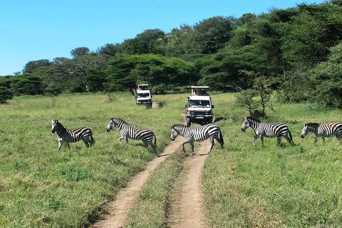 Ngorongoro Crater Day Trip – Shared Group Safari - Game drives across the crater floor