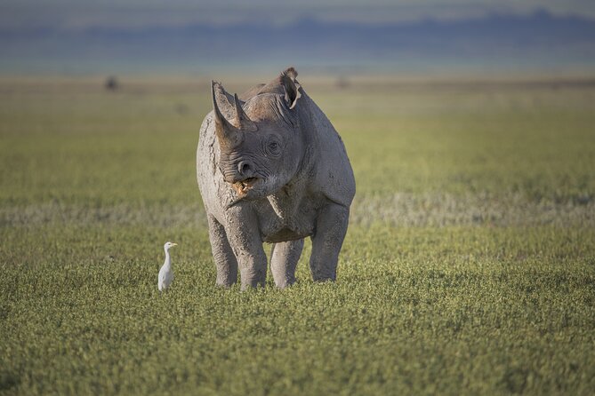 Ngorongoro Crater Day Trip – Shared Group Safari - Maasai culture and life beside wildlife