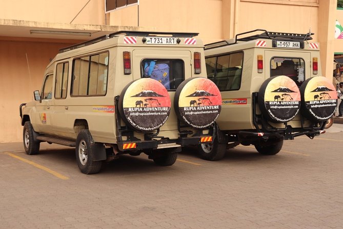 Ngorongoro Crater Day Trip - The morning pickup and sunrise drive