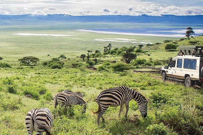 Ngorongoro Crater Exclusive: A Journey into Africa’s Eden - The 2:00 pm afternoon wildlife viewing