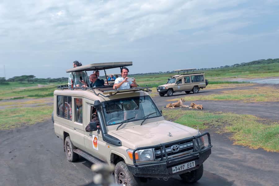 Ngorongoro Crater: Full-Day Safari Tour - Key points to know before booking