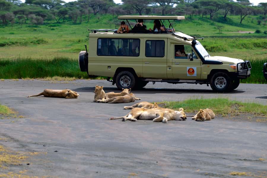 Ngorongoro Crater: Full-Day Safari Tour - Why Ngorongoro Crater is such a special safari setting