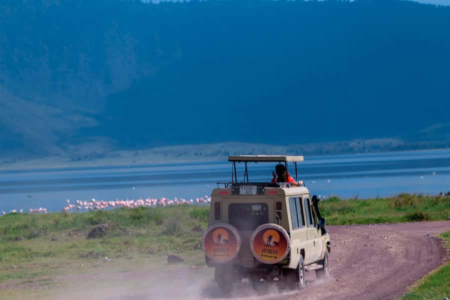 Ngorongoro Crater: Full-Day Safari Tour - What the $291 price really covers